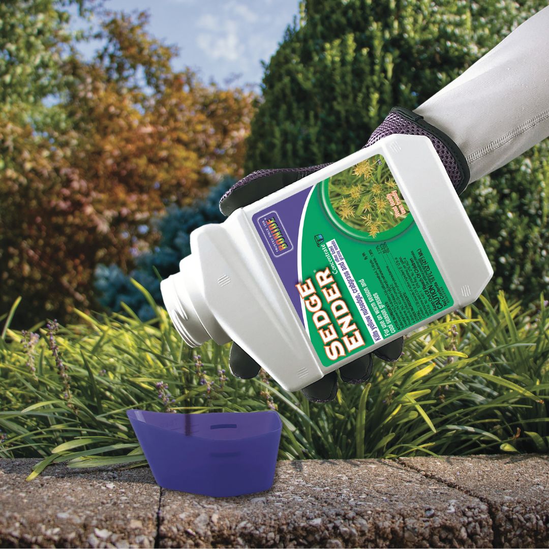 Sedge Ender Concentrate – Bonide – 16 oz